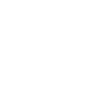 Oriental Hairs Logo